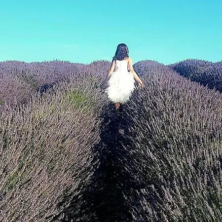 A La Campagne Апартаменты Валансоль