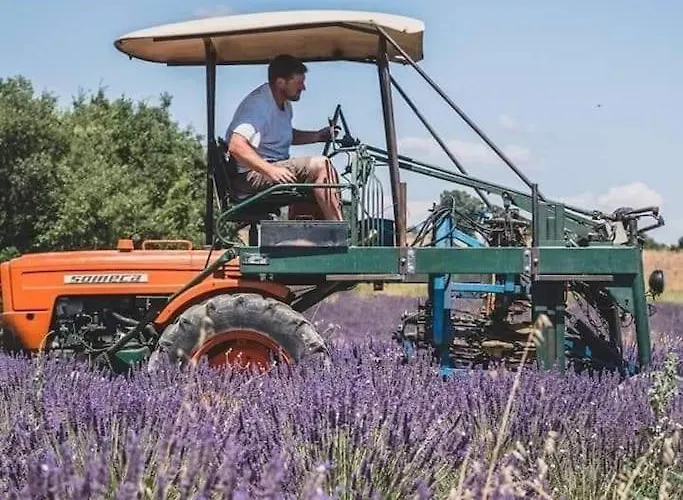 A La Campagne * וואלנסול