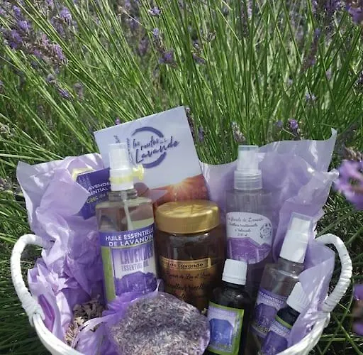 דירה A La Campagne וואלנסול